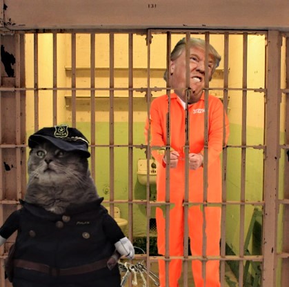 ampincivero's tweet photo. @Mrmangajojo @coolpix_jpg @MeetJess @masking__mama @stkirsch I LOVE IT! Better late than never! #LockHimUp &amp; THROW AWAY THE KEY! #Arrestmas #HappyIndictmentWeekend #GrabbedByThePuss #Caturday #Cats #CatsOfTwitter https://t.co/VFwrvoztMo