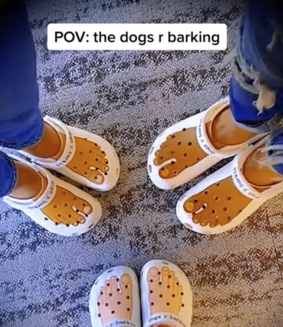 Dog Crocs Are Now A Thing, And Your Dog Probably Wants Them