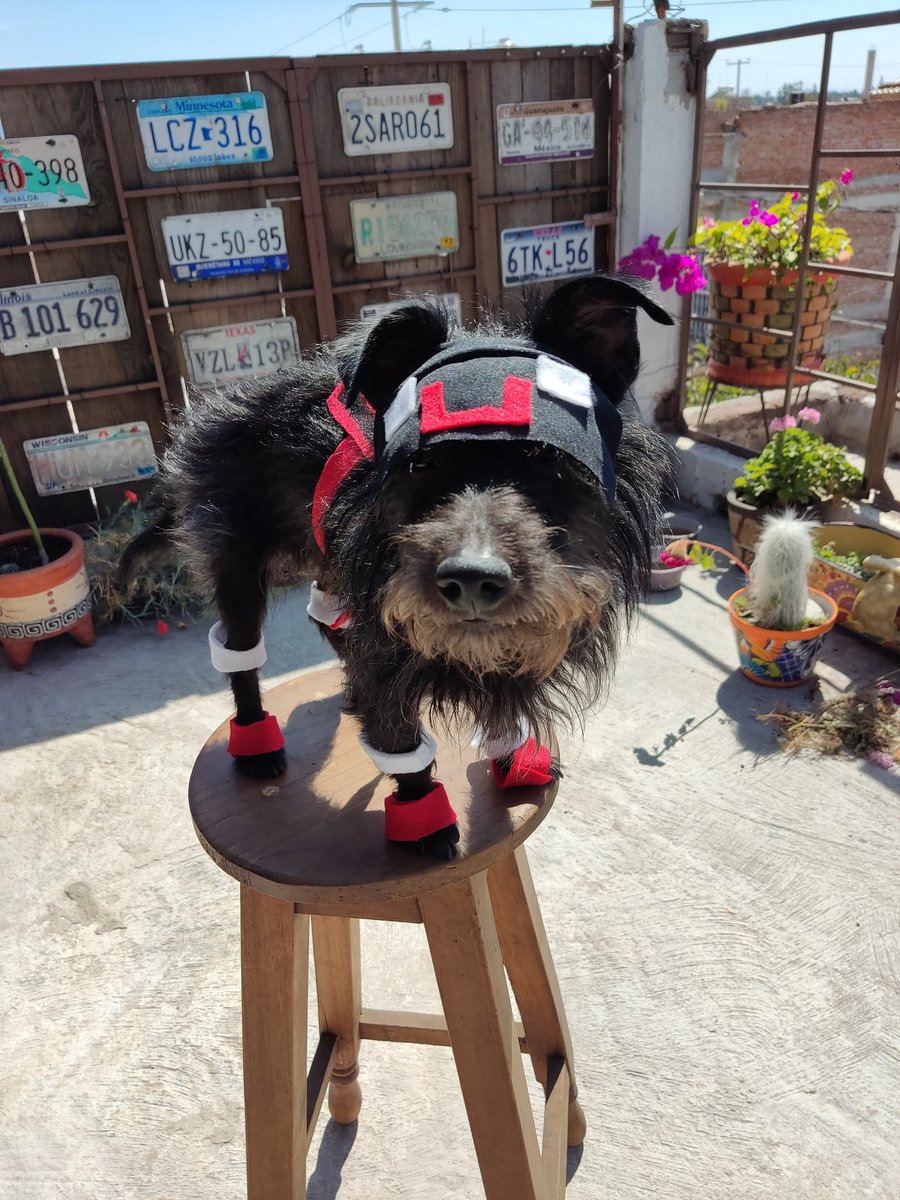 Shadoune666's tweet image. El mejor cosplay de Shadoune