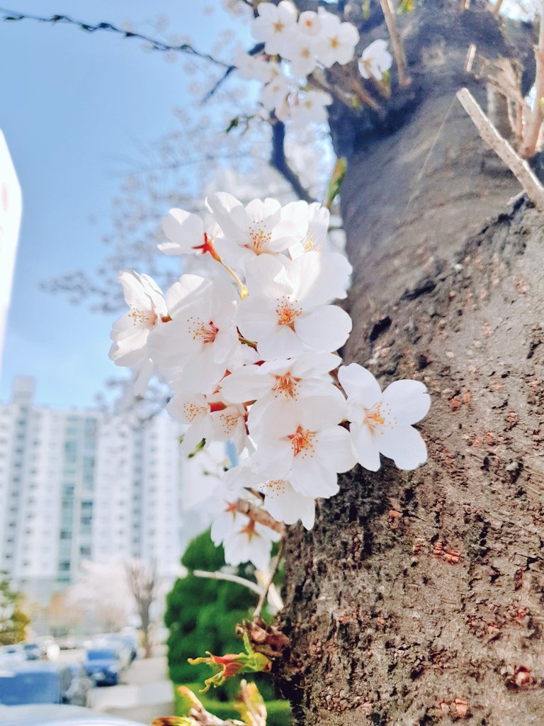 김강도 tweet media