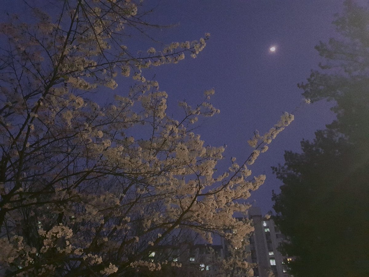 김강도 tweet media