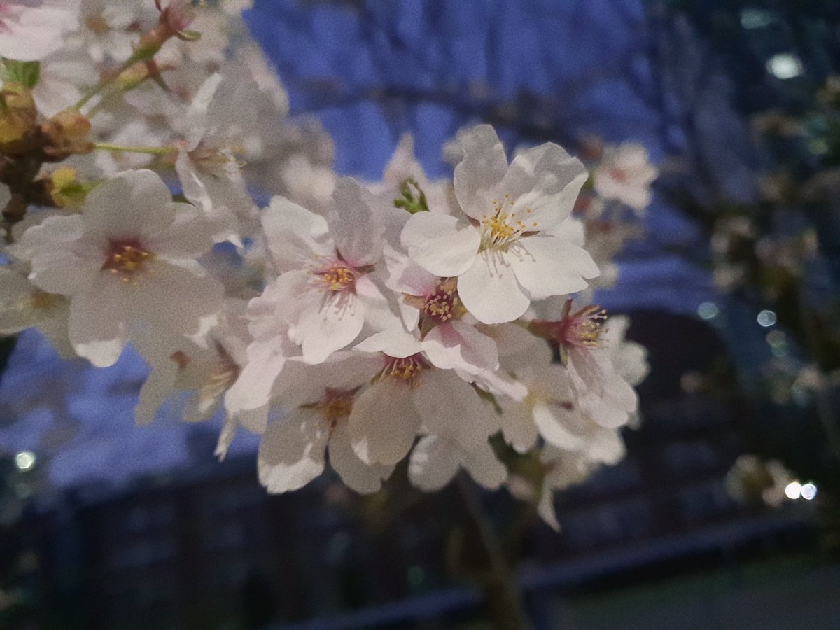 김강도 tweet media