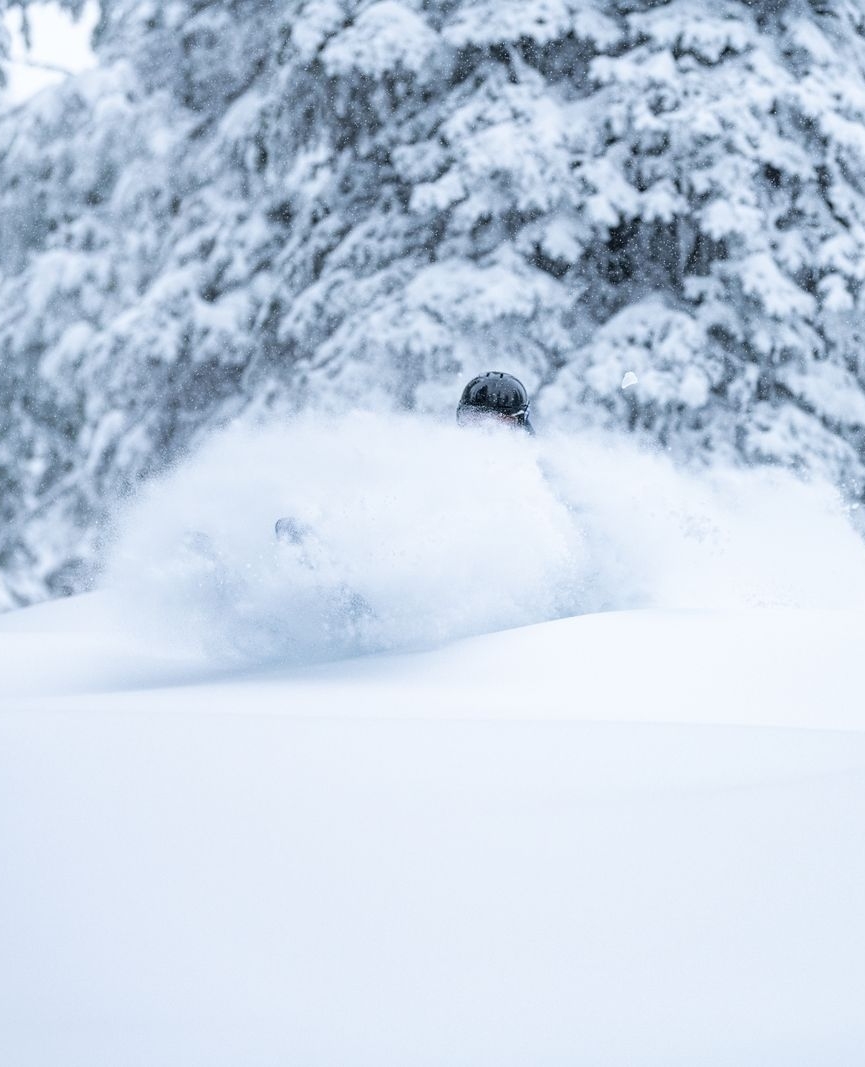 redresort tweet media