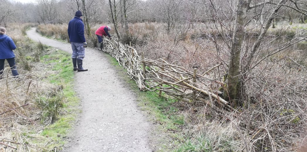 Laura Leay (@dr_leay) on Twitter photo It's amazing what can be achieved with teamwork and ingenuity. We made this entirely from hazel that we copiced. Thanks to <a href="/WestCumbriaRT/">West Cumbria Rivers Trust</a> for giving volunteers like me an opportunity to make something for our local community.
#environmental #conservation It's amazing what can be achieved with teamwork and ingenuity. We made this entirely from hazel that we copiced. Thanks to <a href="/WestCumbriaRT/">West Cumbria Rivers Trust</a> for giving volunteers like me an opportunity to make something for our local community.
#environmental #conservation