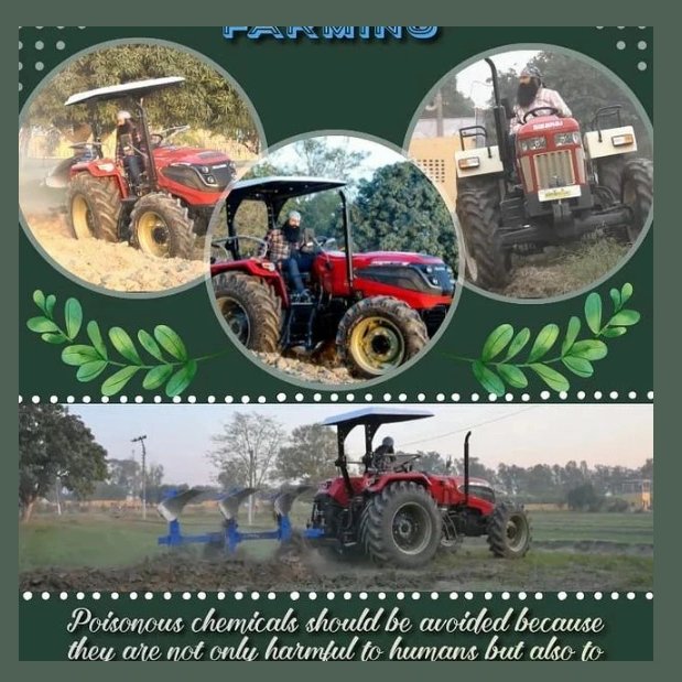 insanaman98's tweet image. The respected saintdr @Gurmeetramrahim singhjiInsan always suggest people to confine organic farming with high fertility of soil . By this method they can earn good 💰.
#FarmingTips
#FarmingTipsBySaintMSG
#FarmingGuide.