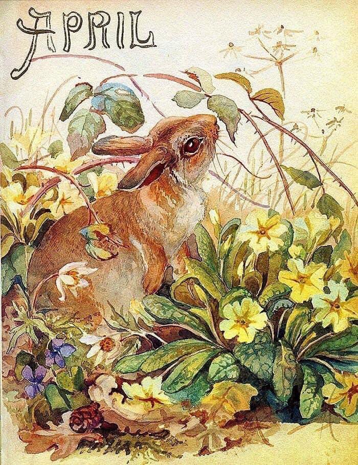 Welcome April.🐰

🎨Illustration by Edith Holden ‘Country  Diary of an Edwardian Lady.’

#1stApril #AprilWish #RabbitRabbit #April1st