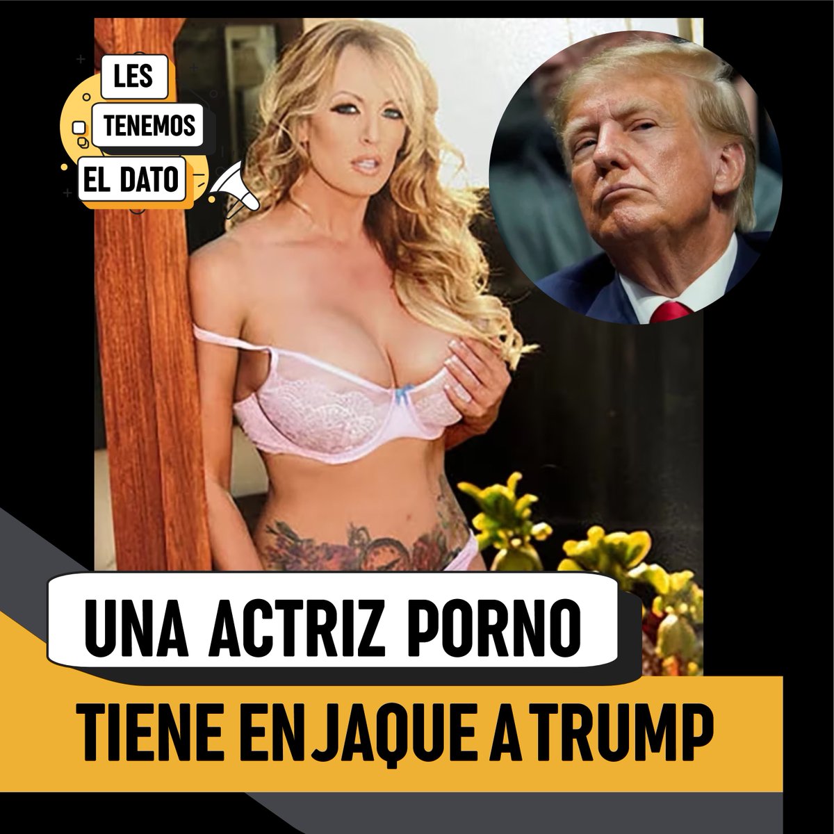 TenemosElDato's tweet photo. La actriz de cine para adultos Stormy Daniels, que afirma haber tenido un brevísimo romance con Donald Trump en 2006, cuenta en el libro que ha escrito sobre su relación con el presidente #Trump #StormyDaniels https://t.co/W6UM7TaJRY