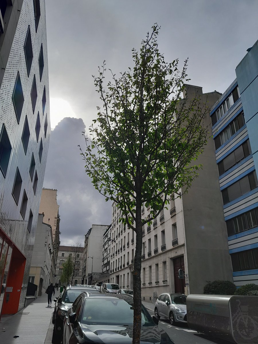 Treizapied's tweet photo. Début de printemps rue de Reims #Paris13 #printemps https://t.co/MjGjyYRBPr