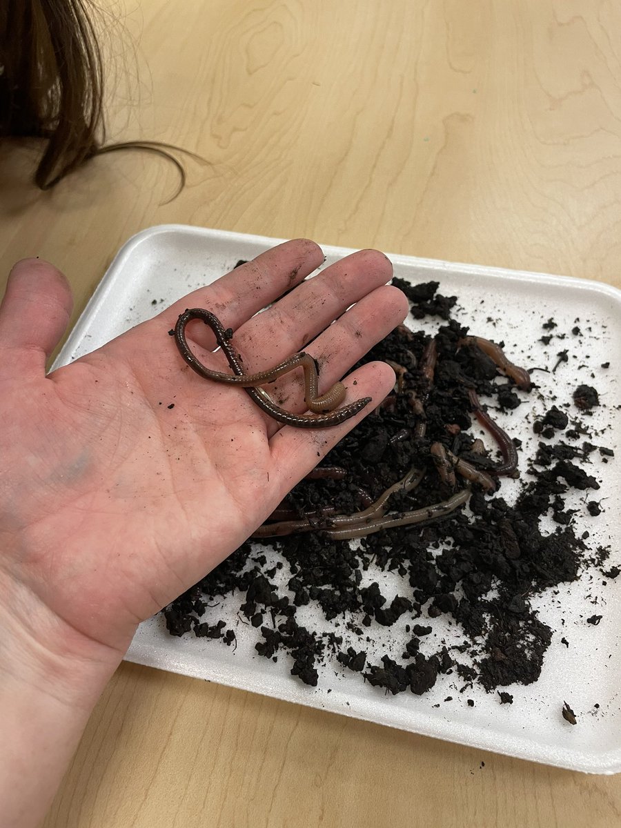 darcicoleauthor's tweet image. Tweet a random picture from your phone with no explanation