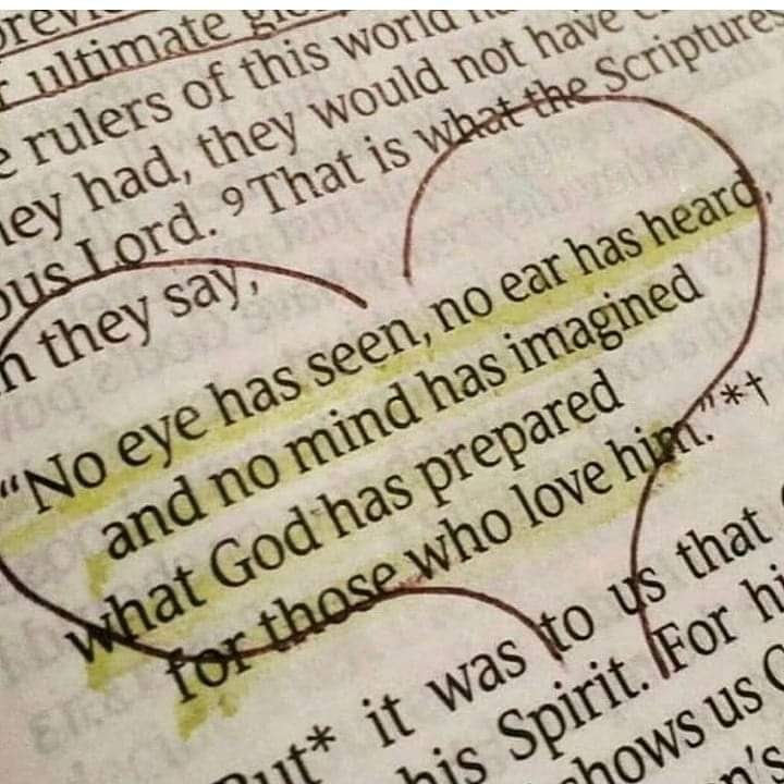 principaliam's tweet photo. Good morning! #anothermiracle This is the day that the Lord has made let us be glad and rejoice in it 🙌🏼🙌🏼🙌🏼 https://t.co/zrNIIu9ybs