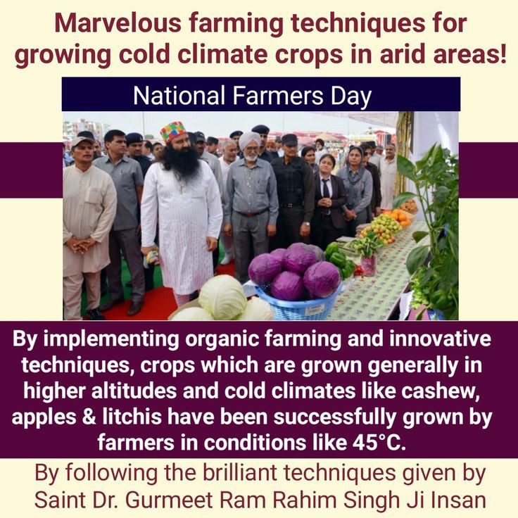 Harpreet_insanG's tweet image. #FarmingTips
#FarmingTipsBySaintMSG
#FarmingGuide
#BecomeASmartFarmer
#LearnAdvanceFarming
#OrganicFarming 
#SaintDrMSG
#BabaRamRahim
#DeraSachaSauda
#SaintDrGurmeetRamRahimSinghJi
#GurmeetRamRahim
#RamRahim