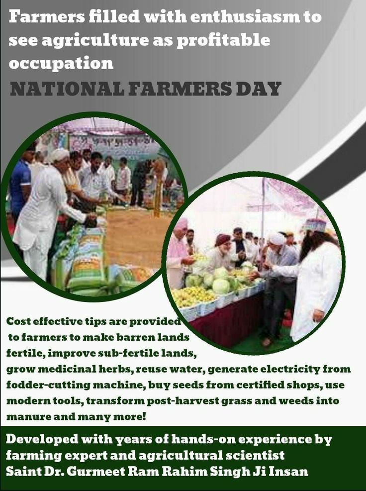 Harpreet_insanG's tweet image. #FarmingTips
#FarmingTipsBySaintMSG
#FarmingGuide
#BecomeASmartFarmer
#LearnAdvanceFarming
#OrganicFarming 
#SaintDrMSG
#BabaRamRahim
#DeraSachaSauda
#SaintDrGurmeetRamRahimSinghJi
#GurmeetRamRahim
#RamRahim