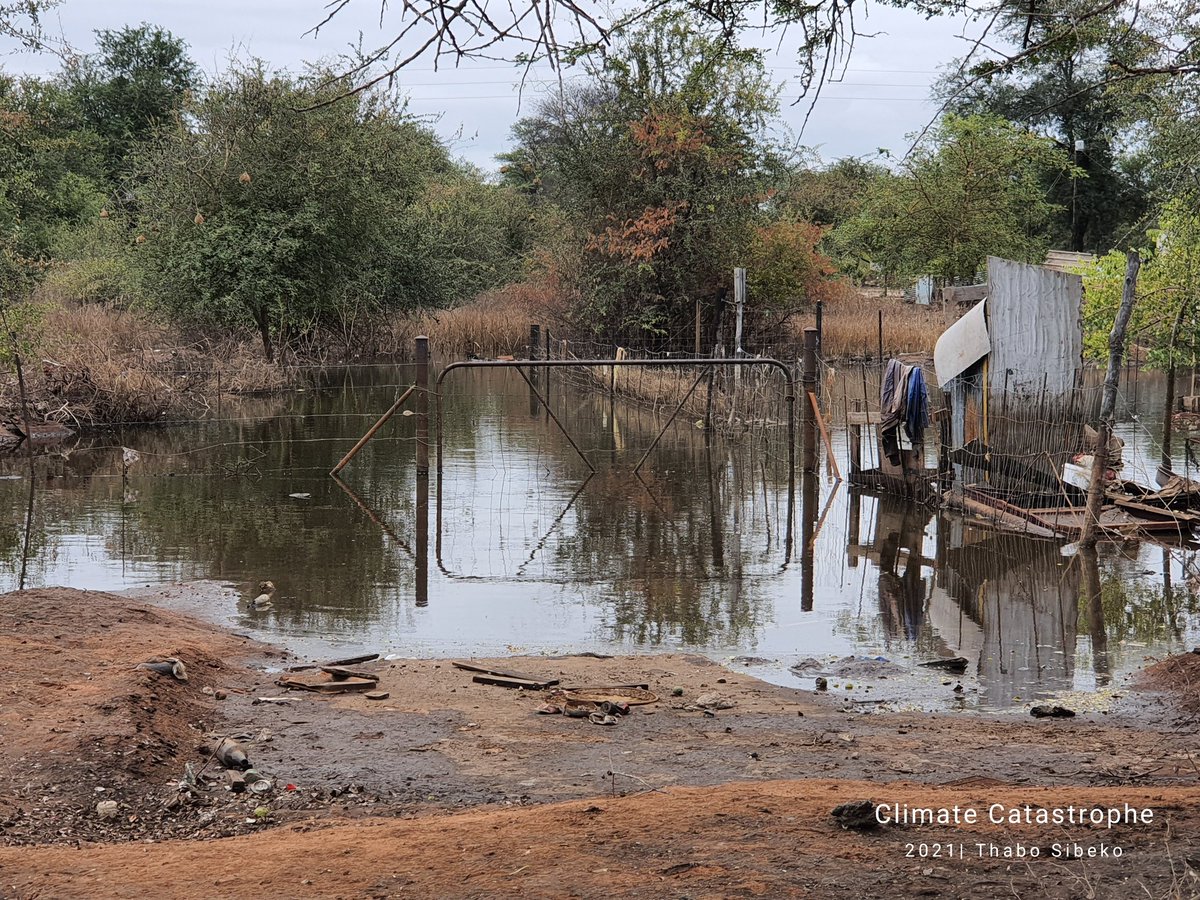 When climate strikes, it's the grass that suffers @Earthlife_JHB