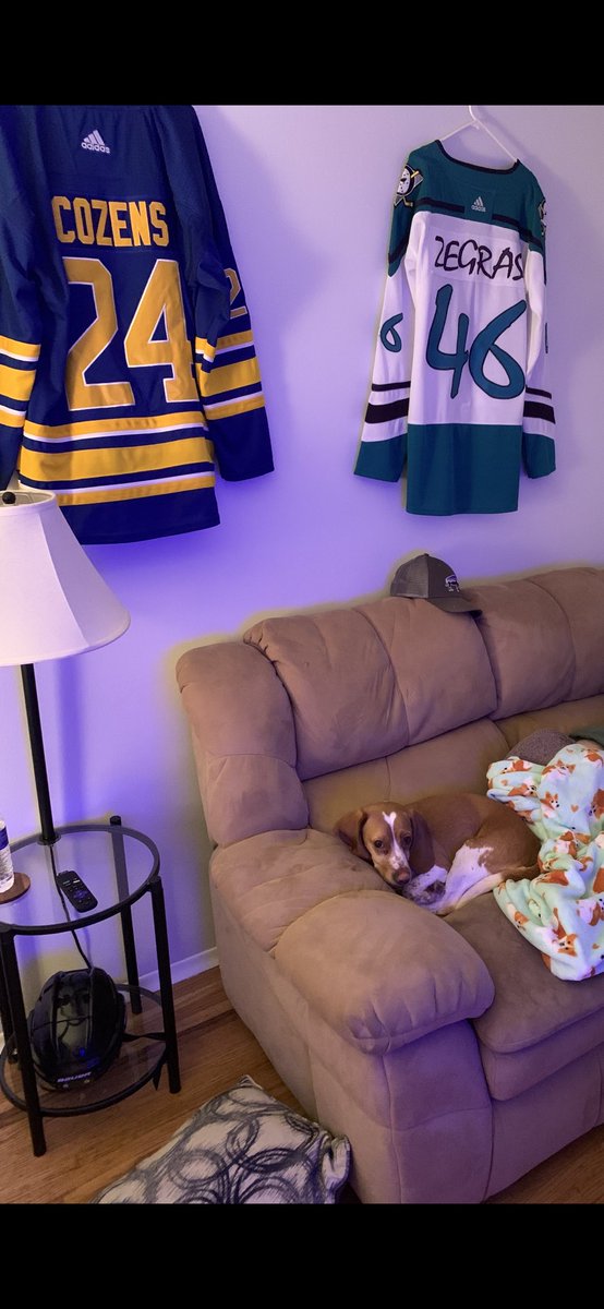 This is my dog, Samson (named after Reinhart). He’s been giving me weird looks after calling him Levi the past 24 hours 😂
<a href="/BuffaloSabres/">y - Buffalo Sabres</a>