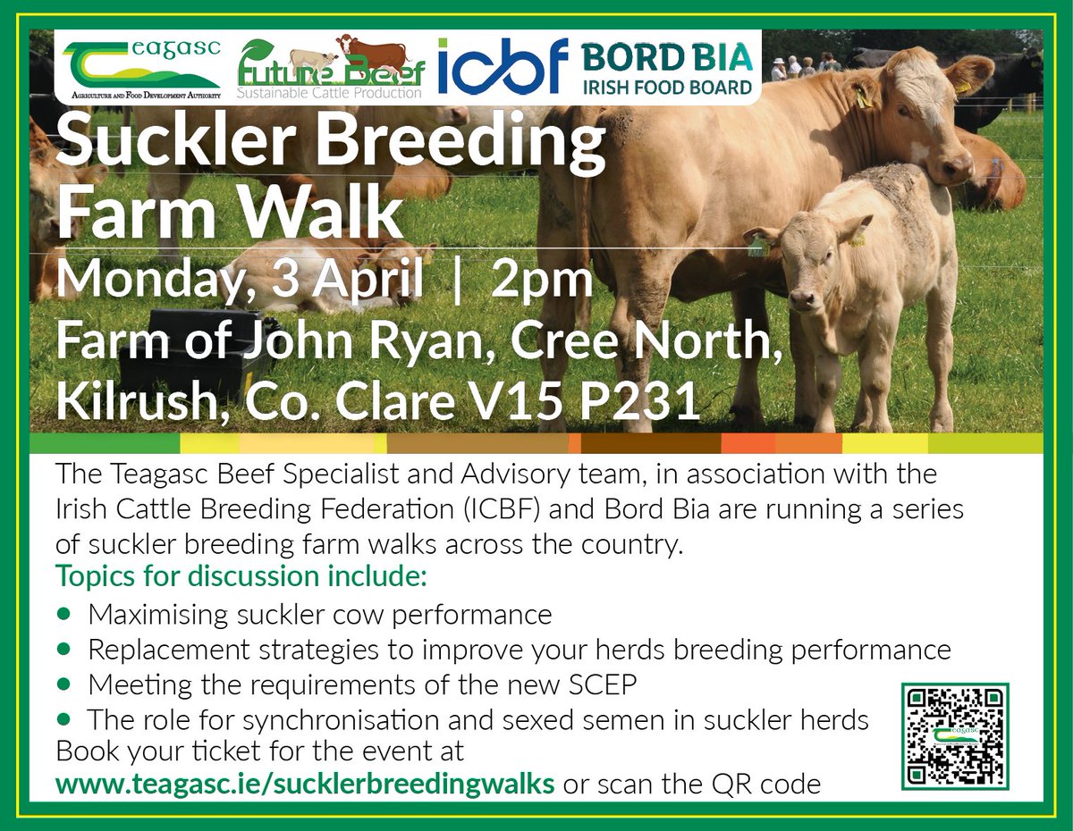 TeagascBeef's tweet photo. The first @teagasc @HerdPlus @Bordbia Suckler Breeding Walk kicks off in Co.Clare this Monday 3rd April on the farm of John Ryan @ 2pm. John is using 100% AI. Breeding &amp; genetics, along with the new Suckler Carbon Efficiency Programme will be discussed https://t.co/JHG7jOAo5k