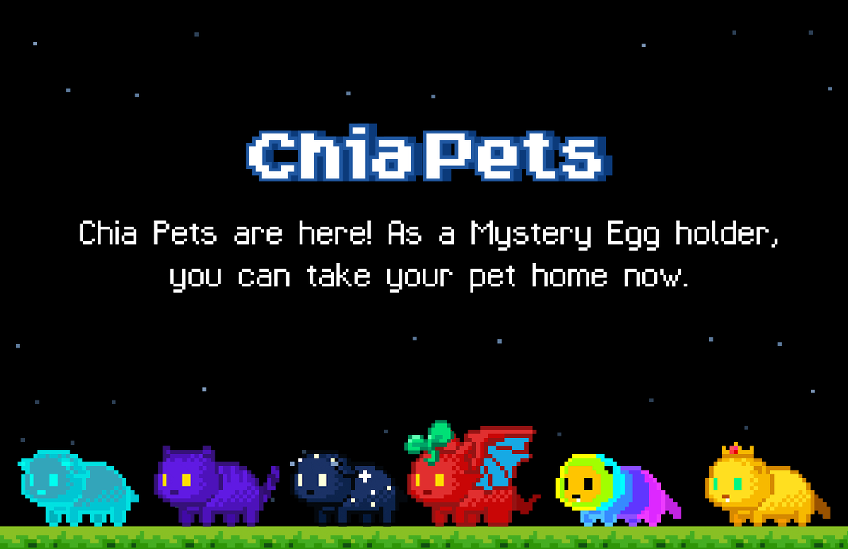 ruijiazhang's tweet photo. Good news: Mystery Eggs can hatch Chia Pets now. You can check the offers on Dexie(https://t.co/xw4b2cT3Ac) or download the entire offer file from here(https://t.co/0FE5DiNSXv). Starting now, if you have a male and female Chia Mount of the same species, make sure they are under the same DID! This way, they can continuously breed Chia Pets. This is the breeding gameplay included in the Chia Mounts NFT. @chia_mounts #Chia #NFT