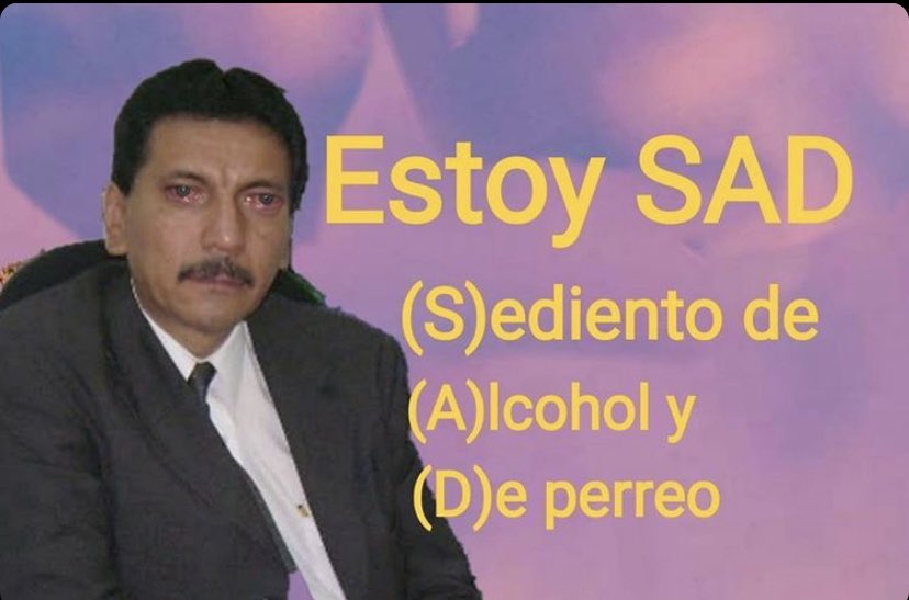 piña sin pizza tweet media