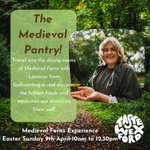 Photo by Medieval Ferns Experience (@MedievalFernsEx)