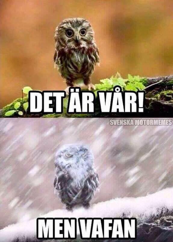 Earlynixie's tweet photo. Er denne lov å poste nå 🙃 https://t.co/uiGtF75bLN