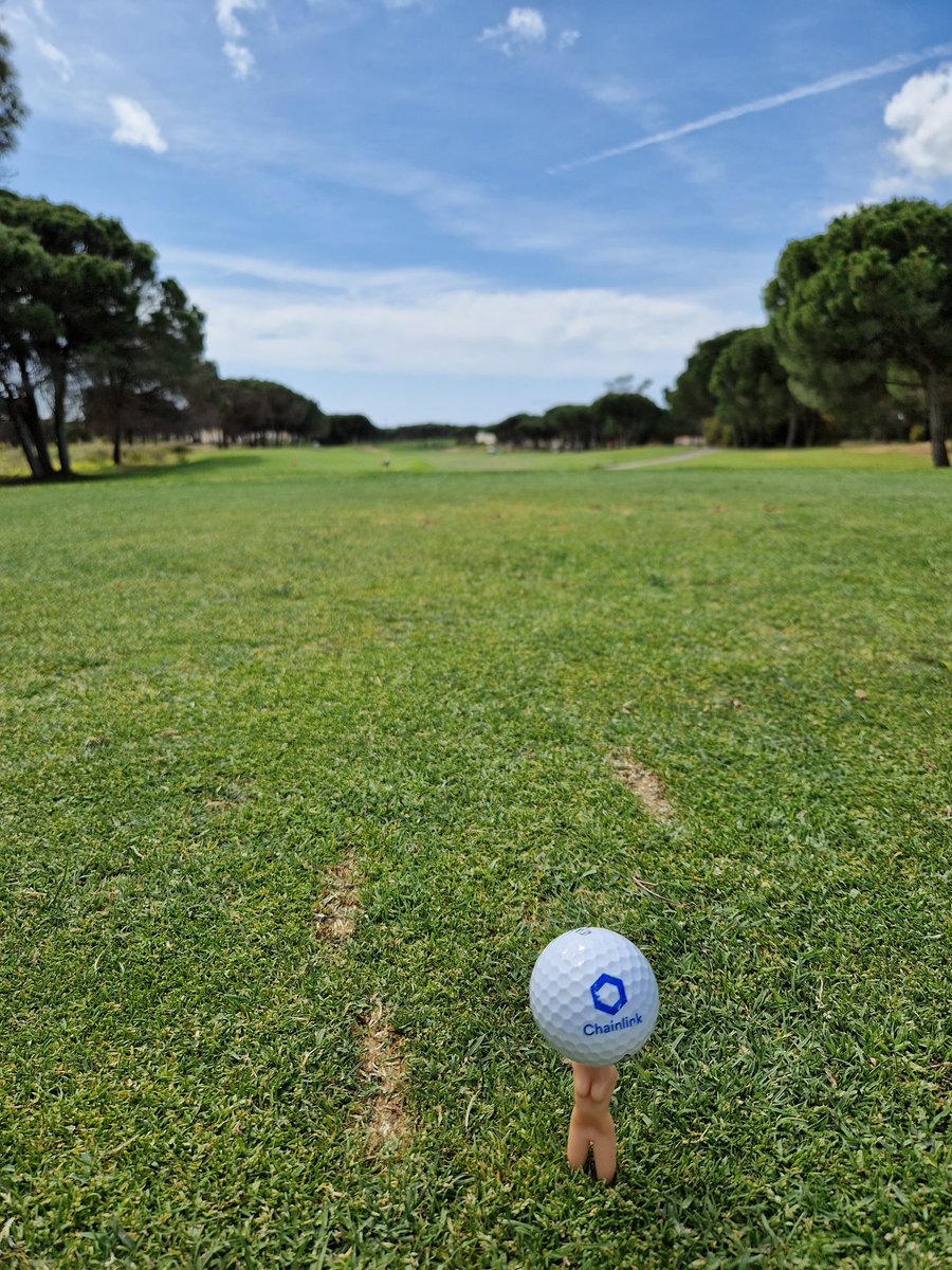 CryptoMaru tweet media