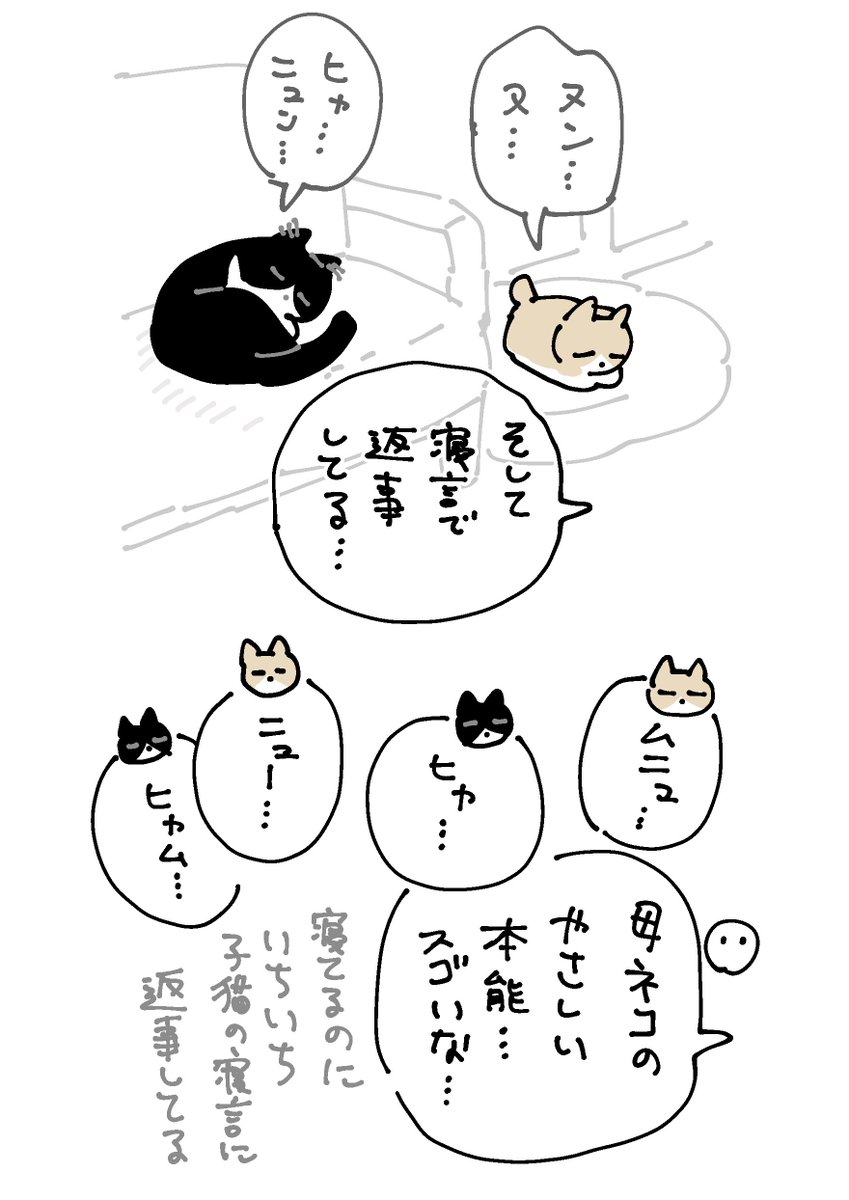 母ネコってすごい…てなったときの絵日記 