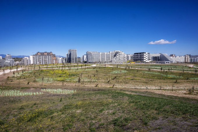 Foto cedida por Ayuntamiento de Madrid