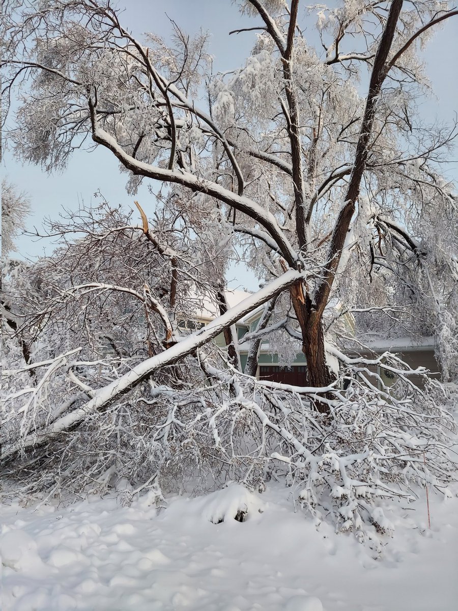 triciafoxwell's tweet photo. @NWSTwinCities @MPRweather #Hudsonwi damage https://t.co/CWAuClhkBY