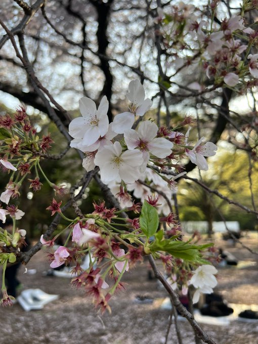 Twitterのコスプレ画像4