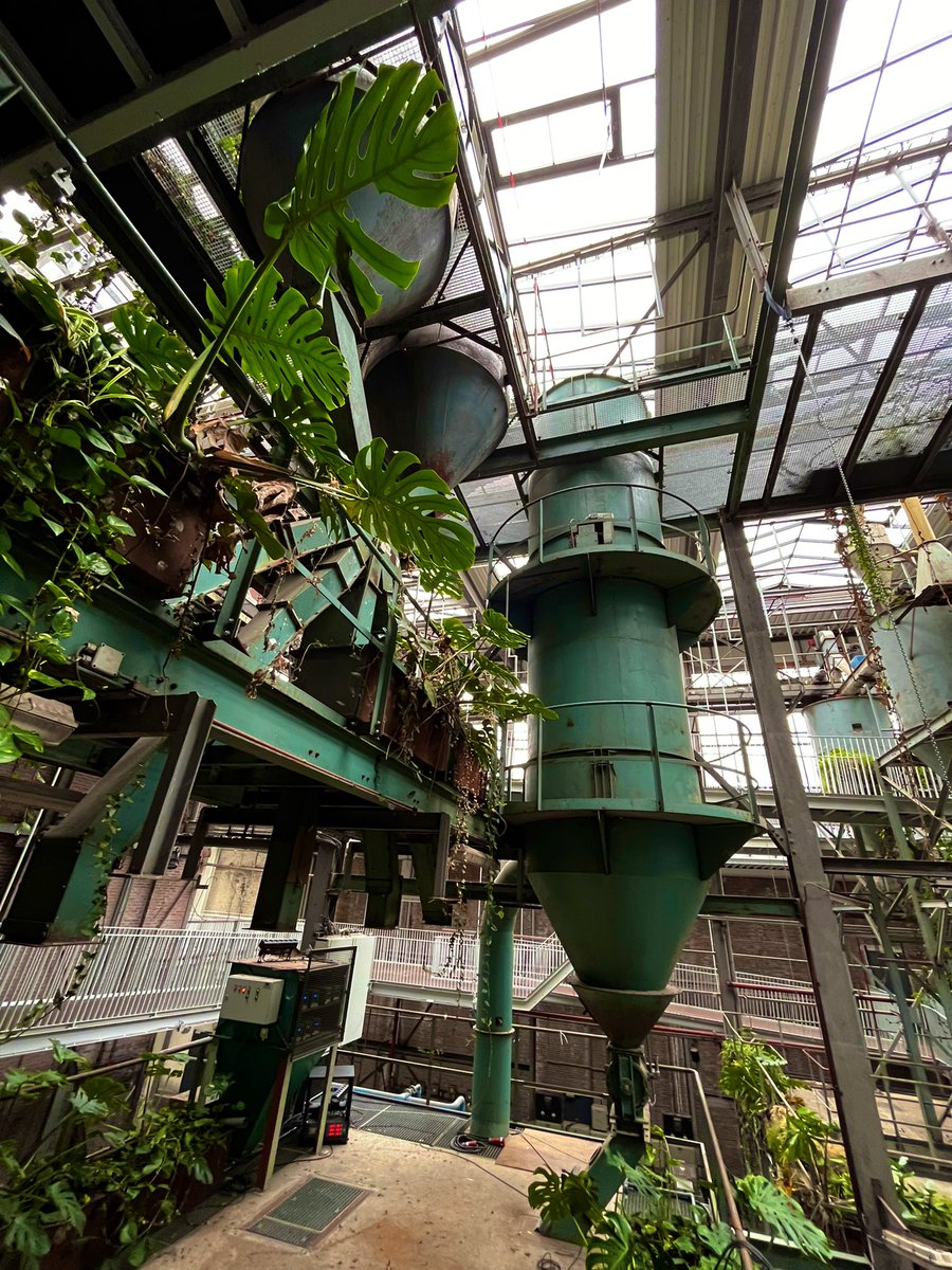 Kasper van Kooten tweet media