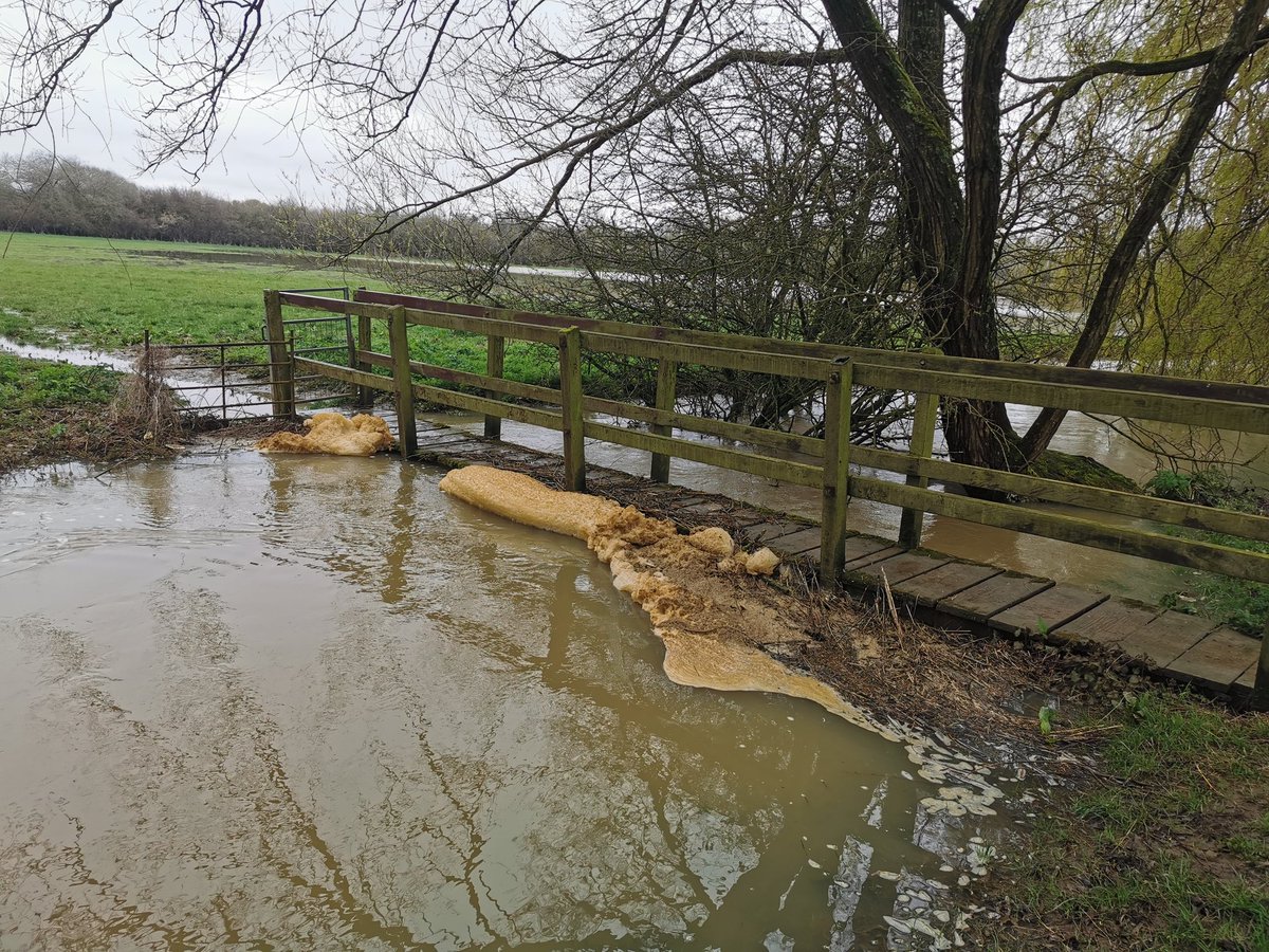 emeliobedelio's tweet photo. The floods are back and so is the crap I assume? @thameswater #Evenlode https://t.co/ccDOkPpHAb