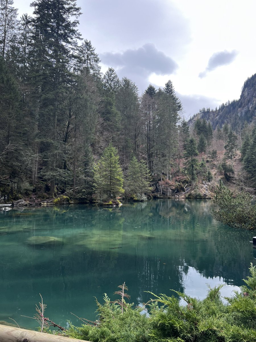 Blausee1878's tweet image. Spring... we&apos;d be ready for you! 🌸

#waitingforspring #blausee #lakelove #happyplace #berneroberland #april #switzerland #weekendvibes #placetovisit #travelgram