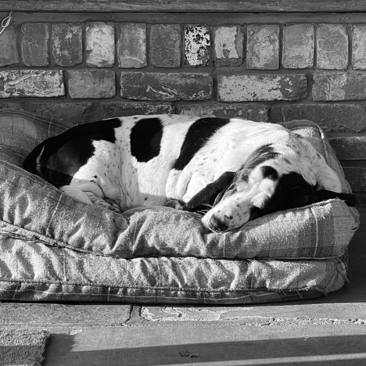 Phil Sledge tweet media