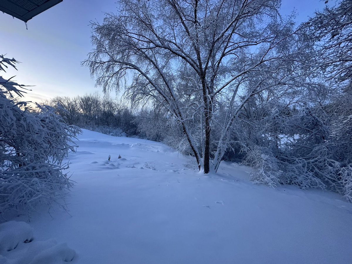 superbetsy's tweet photo. Best April Foolsβ Day joke ever! A blizzard dumping 8 inches of snow on top of iceβ¦ too cruel to be real so thatβs how we know itβs a jβ¦ joβ¦ joke? #AprilFoolsBlizzard https://t.co/etlcM8bjT1