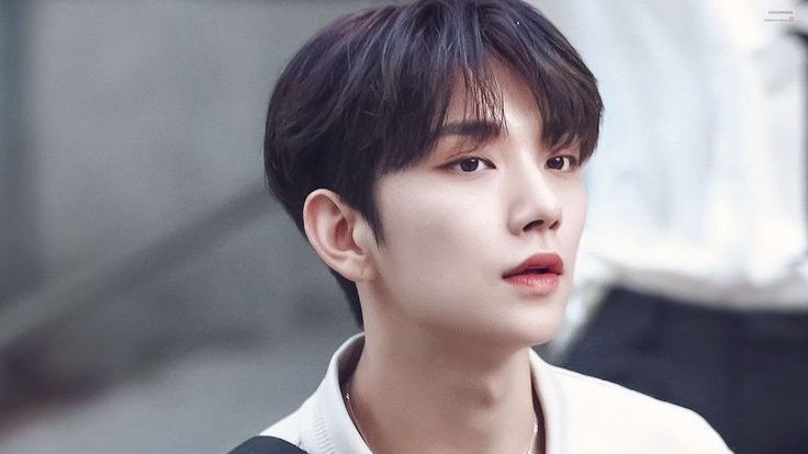 cheolshuavernon's tweet photo. Found You. 

A #seoksoo/#shuaseok taguan ng anak au wherein... SM has been hiding his son from his ex JS for years, what happens if one day, JS bumps into their son into a grocery store who broke the hundred thousand worth of wine he's holding saying "DRINK WATER! NOT ALCOHOL!" https://t.co/rGeon7fM4t
