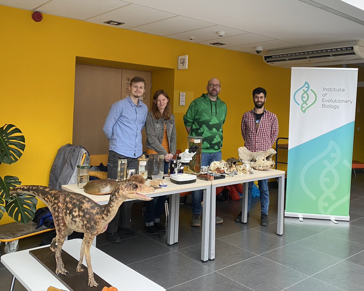 IBE_Warszawa's tweet photo. Today we are at the Explorers’ Day of the Ochota Campus @UniWarszawski #DOKO2023 meeting the young biologists of the future! #Silesaurus still steals the show 🦖
@djbirddanerd @S_LopezTorres https://t.co/dI6EnX4YwU