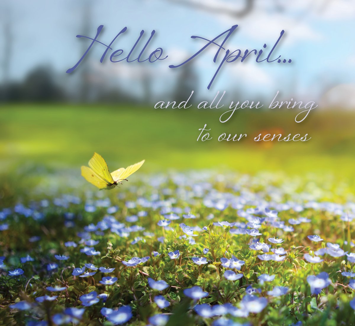 MontagueMiller's tweet image. Welcome, April, and all you bring to our senses!

... the smell of freshly mowed grass, the warmth of the sun,  and the sweet symphony of songbirds and spring peepers!

It doesn&apos;t get much better!

#montaguemillerrealtors #springinvirginia  #loveyourhome #april