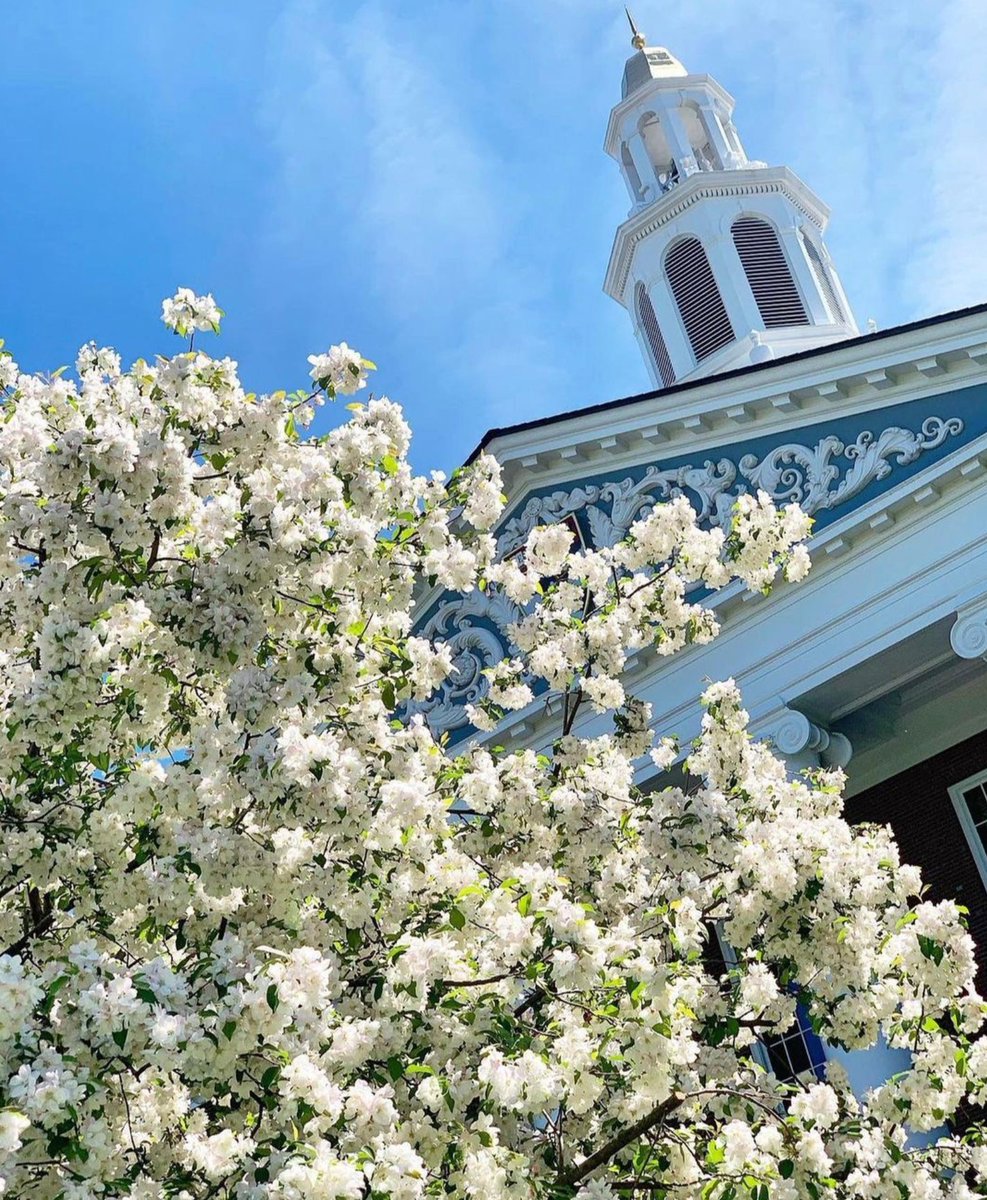 HBSExecEd's tweet photo. Hello April! We are excited for more sunny and warmer days ahead! โ๏ธ
#ExEdHBS #ExecutiveEducation #HarvardInSpring https://t.co/VWPMunHjtD