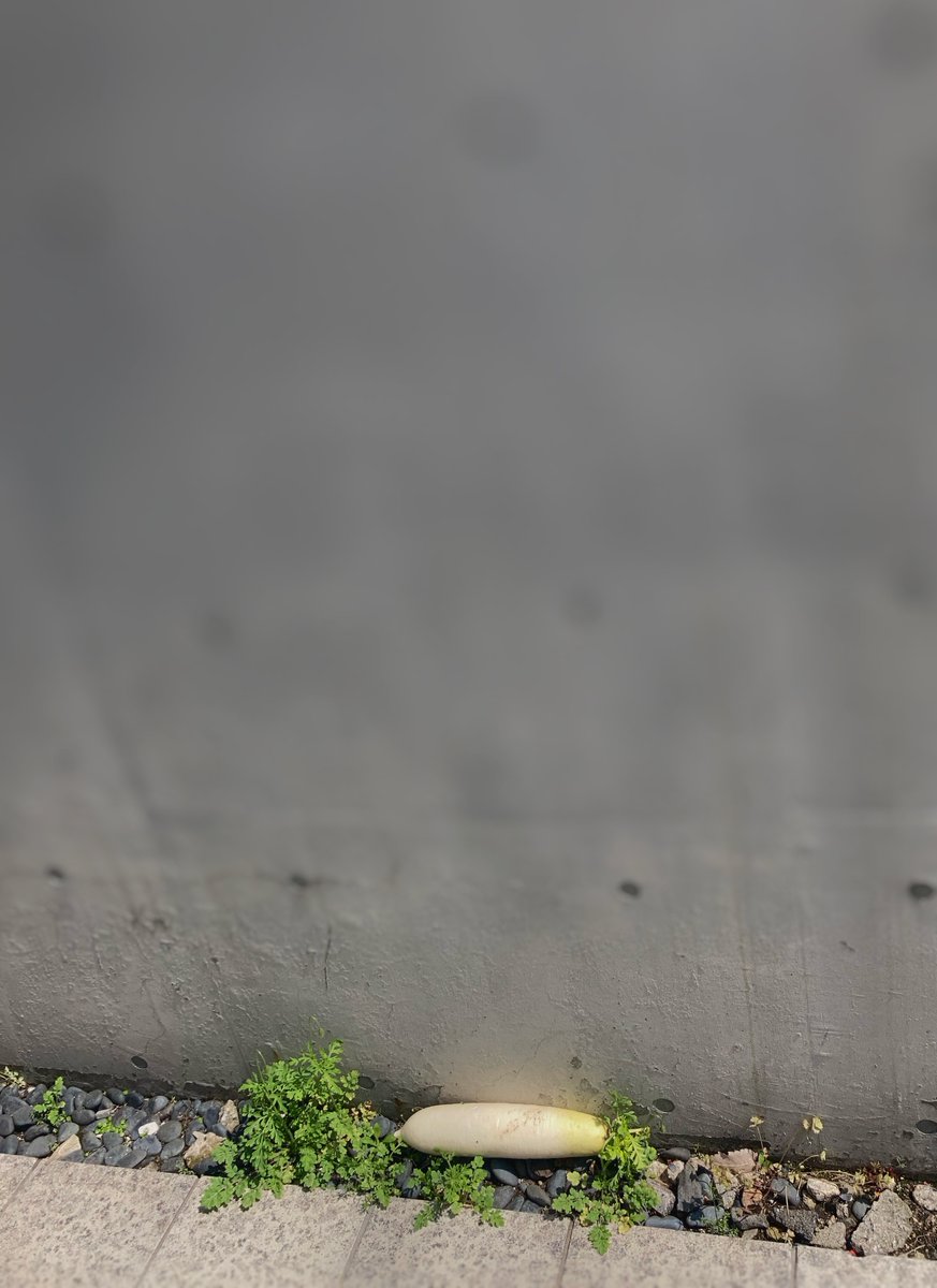 肉のビックリ市 tweet media