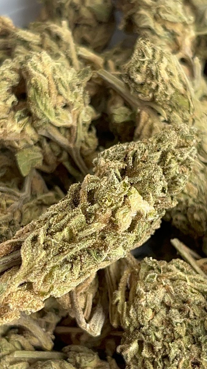 weedbogota2's tweet photo. Solo calidad 100% https://t.co/PI0gsdKfld