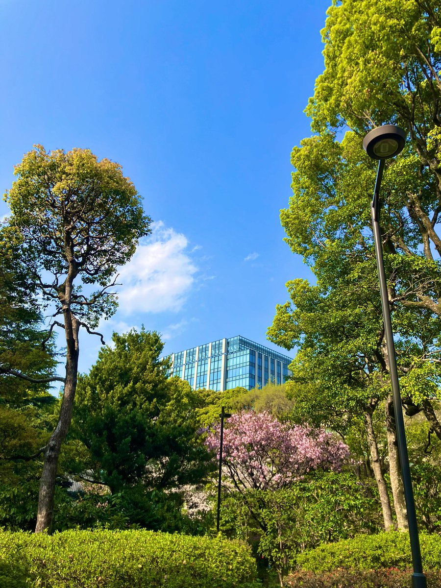 4/1、36回目の誕生日を迎えました！
色んなことが起きた濃すぎたこの1年間でしたが、今日見たこの桜の木のように色んな事に揉まれながら、また周りの高い木々に流される事なく、強く咲いていこうと思います🌸