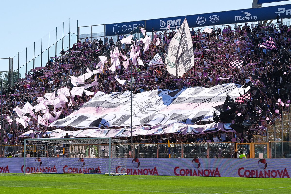 Palermofficial's tweet photo. Che spettacolo 💗🖤 https://t.co/lPicDu6aJz