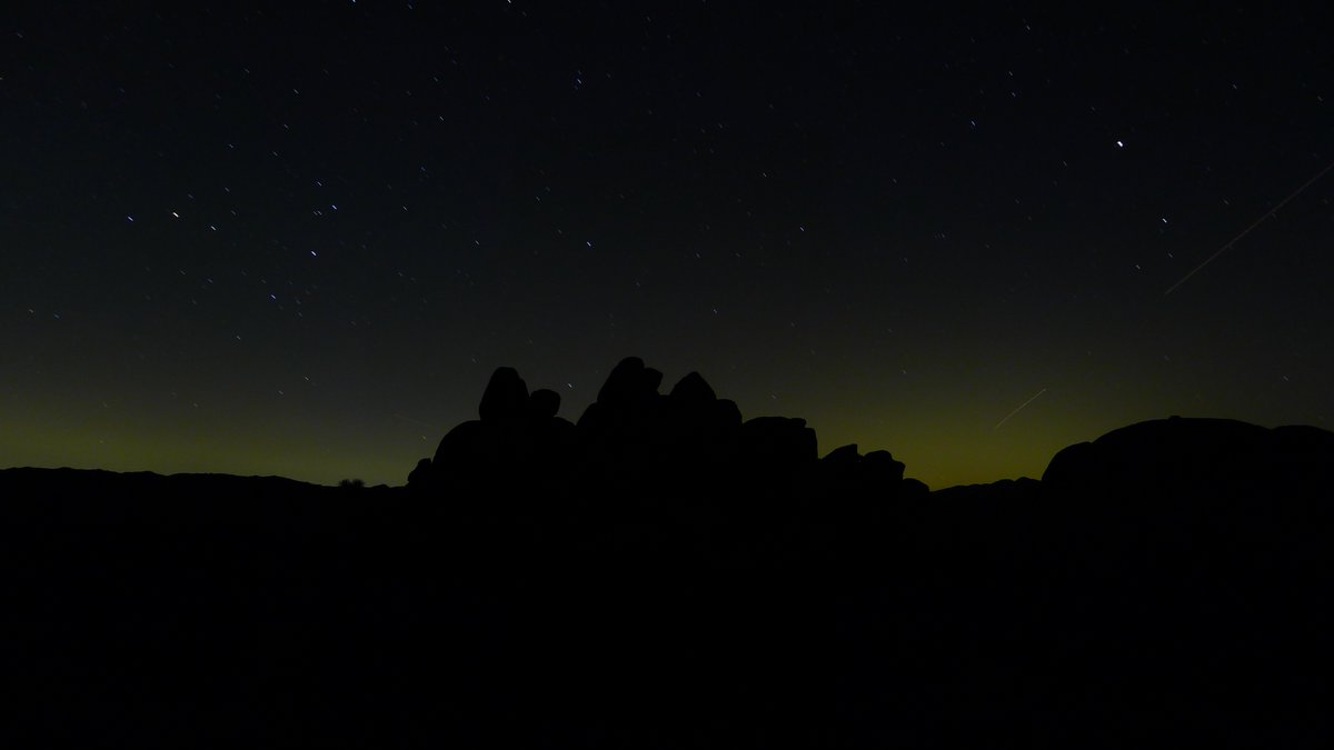 SeanGallagherLA's tweet photo. Joshua Tree https://t.co/Xt40Wqpvt9