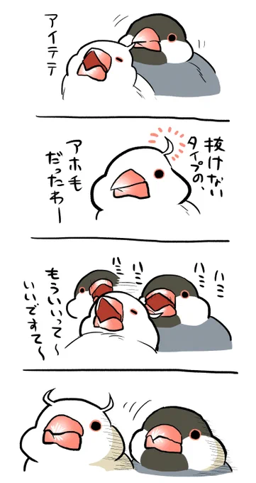 この鳥さん漫画の書籍化が決定いたしました! 書き下ろしは40pほどで、5月17日に発売予定です。 Amazonでのご予約はコチラ↓ 【https://t.co/sOrA5fKmfV】 画像は、最近の落書きです💞 