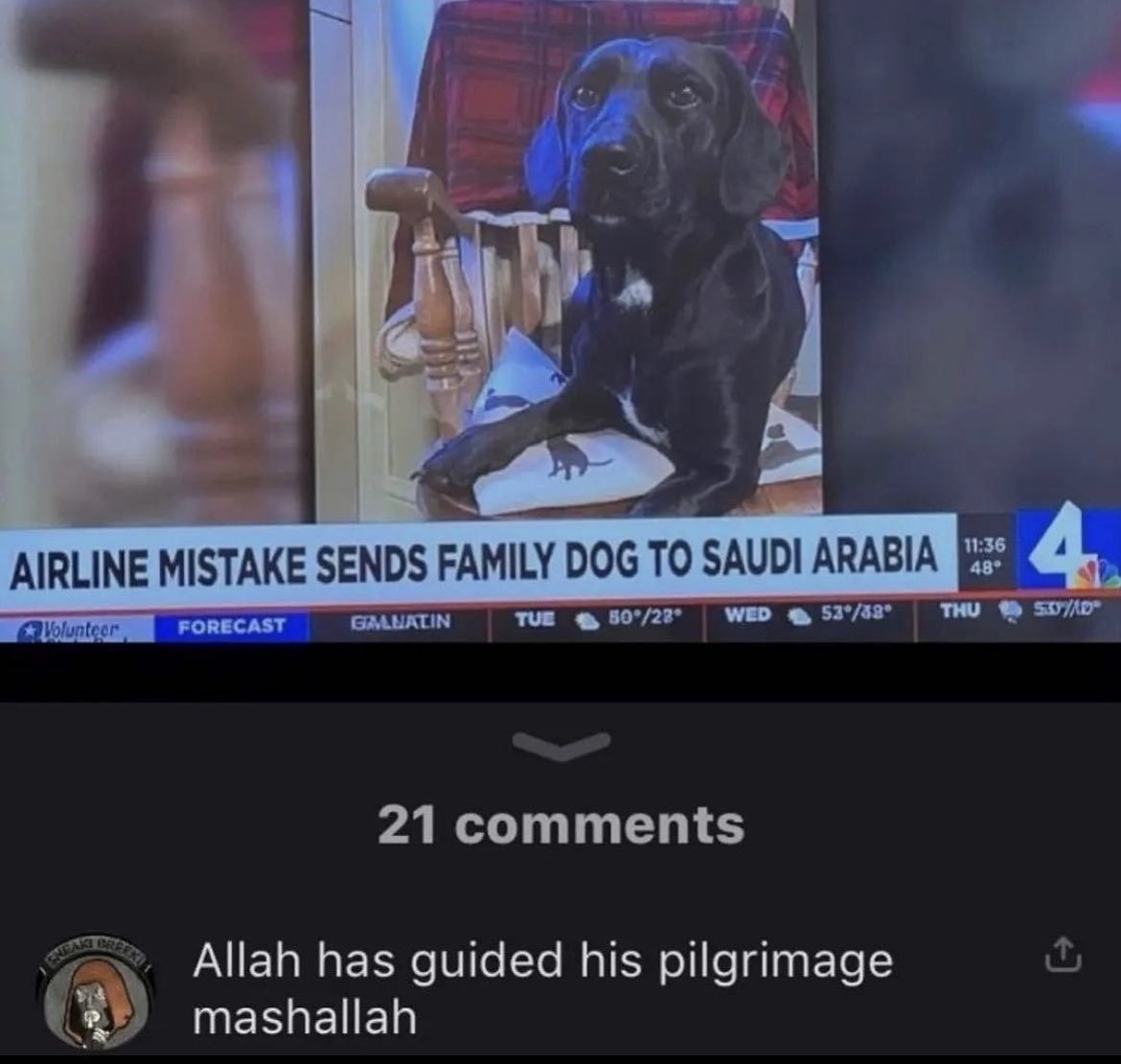 Orwell & Goode (@orwellngoode) on Twitter photo 