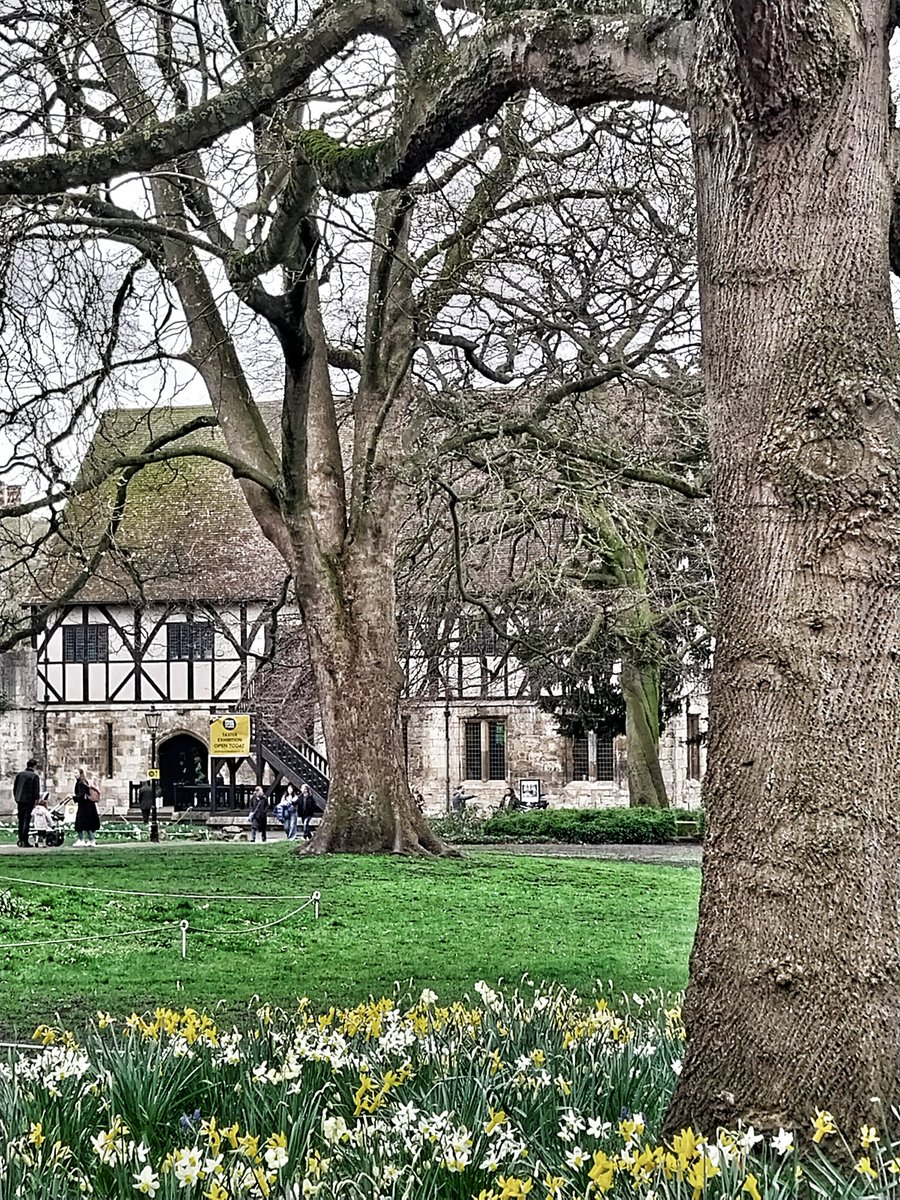 Hospitium. Open this weekend for the excellent <a href="/YorkOpenStudios/">YorkOpenStudios</a> preview event.