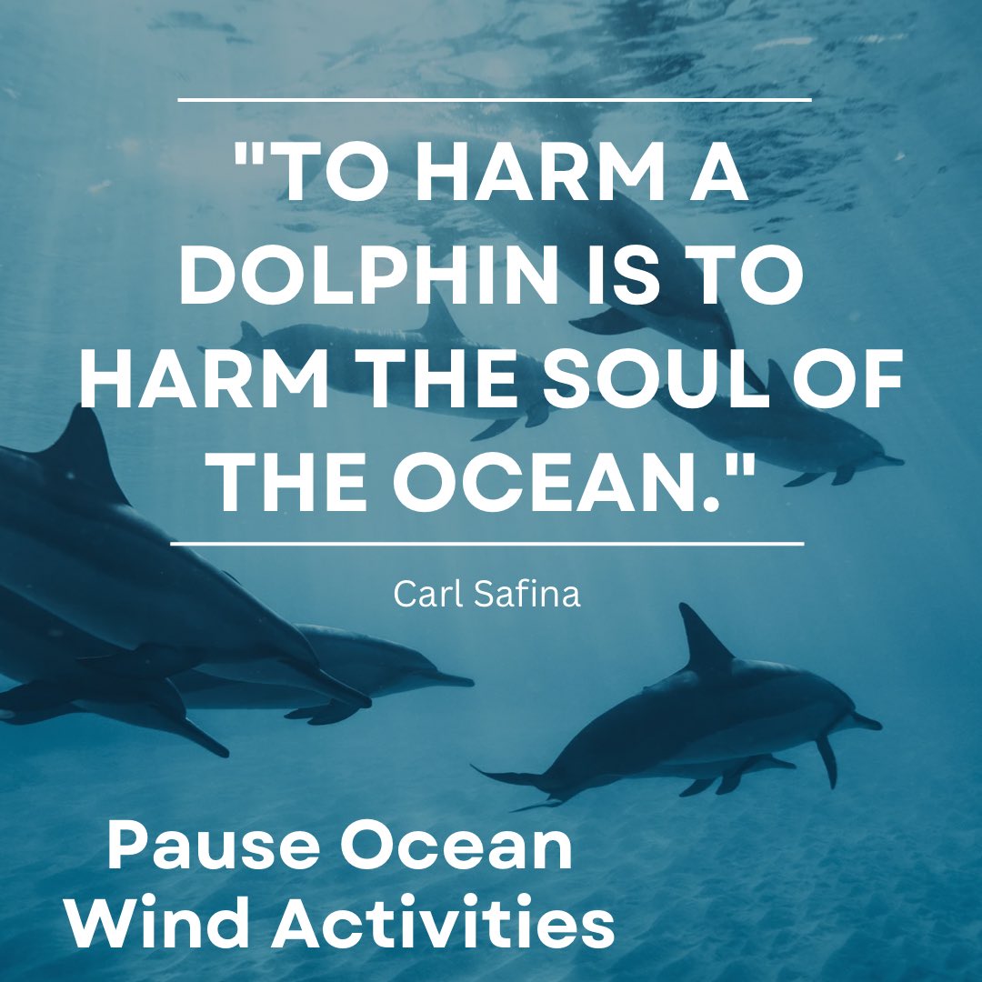 Pause Ocean Wind Activities

'To harm a dolphin is to harm the soul of the ocean.' - Carl Safina

#Brigantine #ocean #atlanticcounty #SouthJersey  #NJ  #ProtectTheOcean #OceanConservation
#ProtectMarineWildlife
#SaveOurPlanet
#ProtectOurOceans
#ProtectOurWildlife
#HealthyOceans