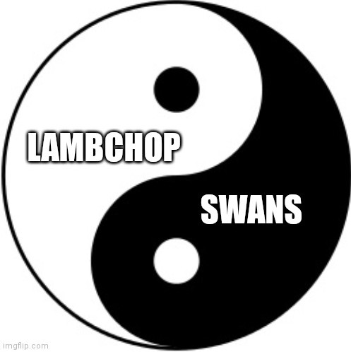 internet_ginger's tweet photo. Is this anything? #Lambchop #Swans https://t.co/w61vJv84nK