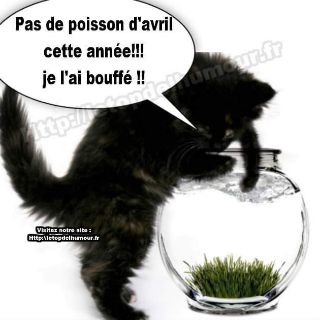 Très bel après-midi !😘