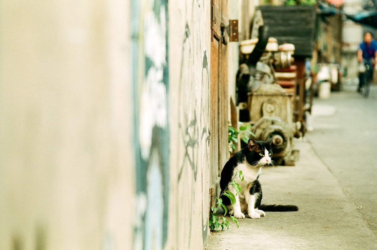 Vanont Ruk tweet media