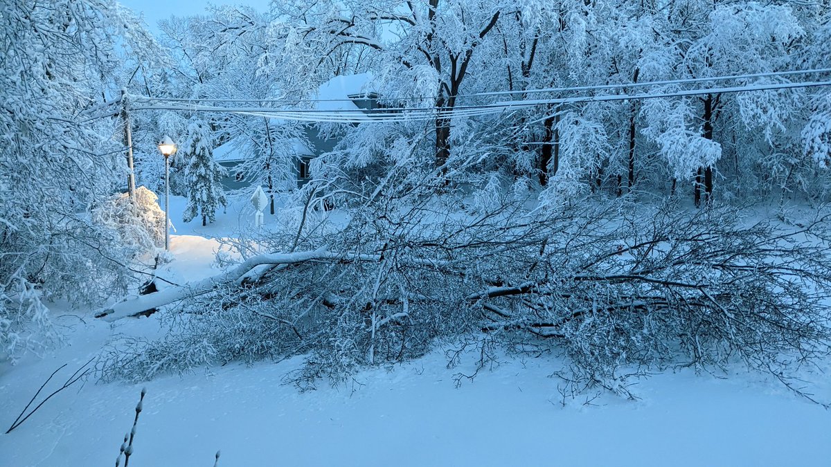 SavedByDave's tweet photo. @NWSTwinCities Apple valley, MN https://t.co/m7HlDkyhvm